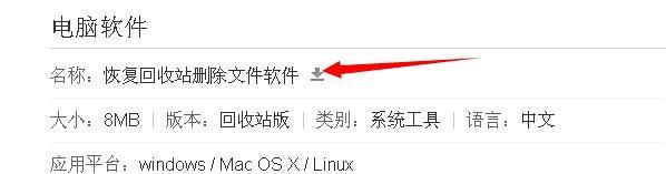 如何恢复被直接删除的大文件（有效方法帮助你找回误删的重要文件）