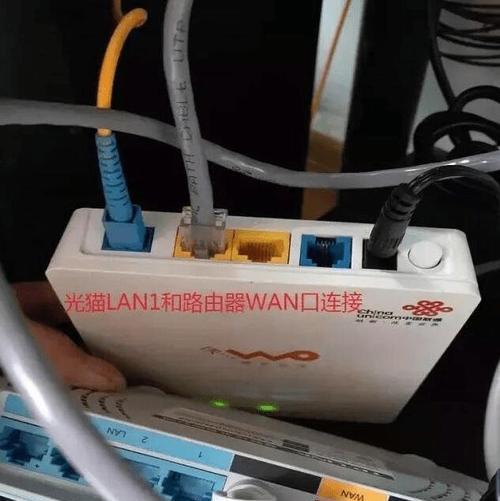 如何正确连接网线并安装路由器（一步步教你如何快速连接网线和安装路由器）