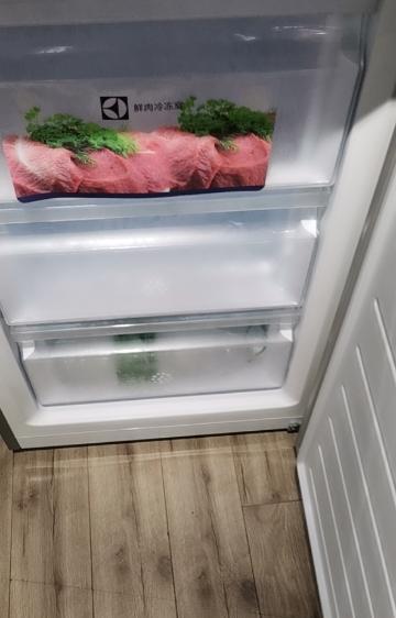 解决伊莱克斯冰箱E0故障的方法（排除伊莱克斯冰箱显示E0错误的原因）