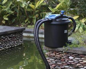 净水器里的水养鱼，享受纯净环境（打造绿色家居生态）