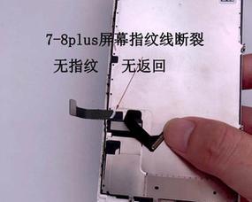 显示器排线发出噪音怎么办？如何快速解决？
