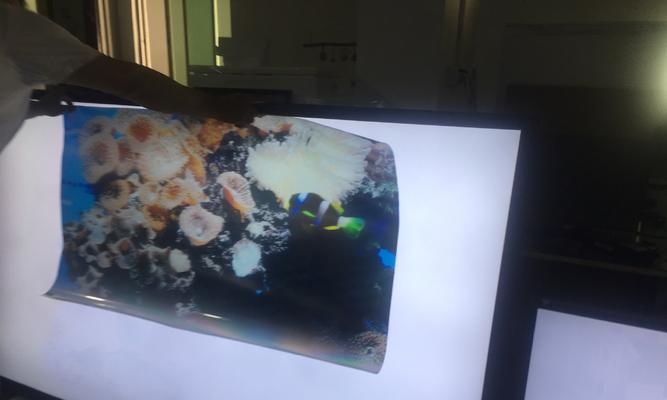 显示器不支持偏振是什么原因？如何解决？