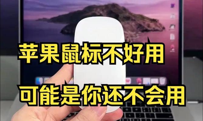 苹果笔记本适合使用什么鼠标？鼠标在苹果笔记本上的使用方法是什么？