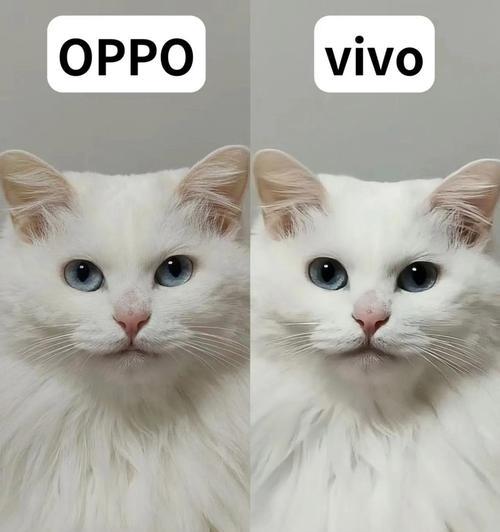 中端手机拍照效果好怎么调整？有哪些设置技巧？