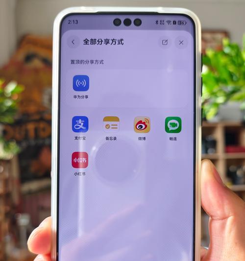 华为电脑端软件下载方法是什么？下载过程中可能遇到的问题有哪些？