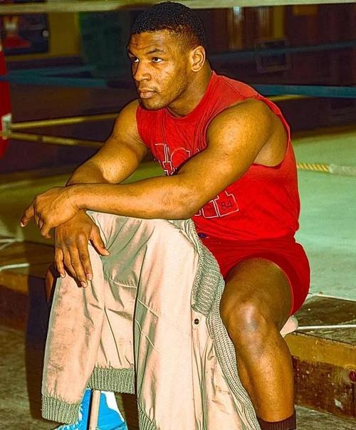 泰森摇摆相机使用技巧有哪些？如何拍出稳定清晰的照片？